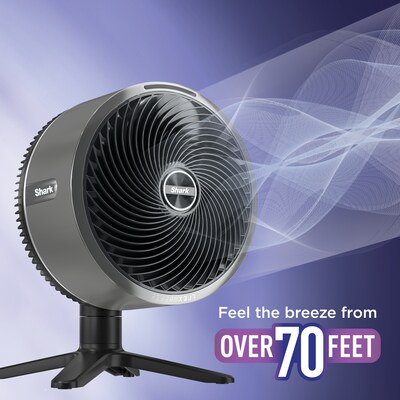 Shark FlexBreeze TableMate Oscillating Desk Fan, 5-Speed, Charcoal (FA151BRN)
