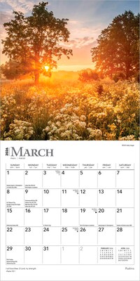 2026 BrownTrout Psalms 7" x 7" Monthly Wall Calendar (9798330705191)