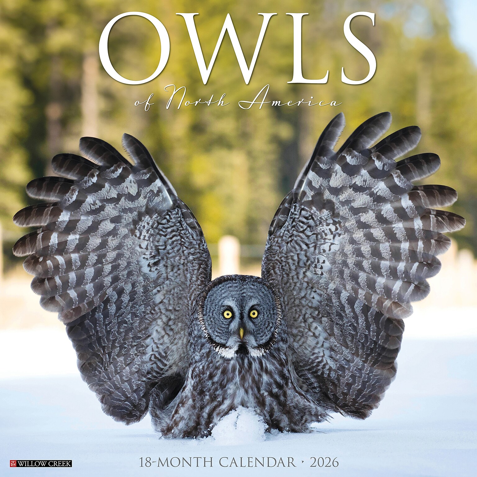 2026 Willow Creek Owls 12 x 12 Monthly Wall Calendar (52266)