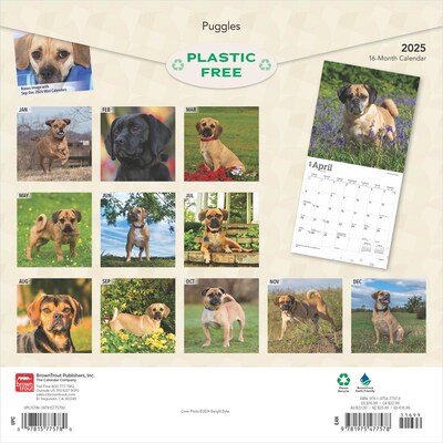 2025 BrownTrout Puggles 12 x 12 Monthly Square Wall Calendar (9781975477578)