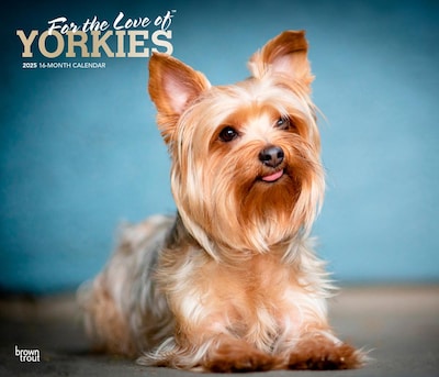 2025 BrownTrout For the Love of Yorkshire Terriers 7 x 12 Monthly  Wall Calendar (9781975473099)