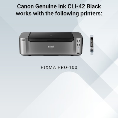 Canon 42 Black Standard Yield Ink Cartridge  (6384B002)