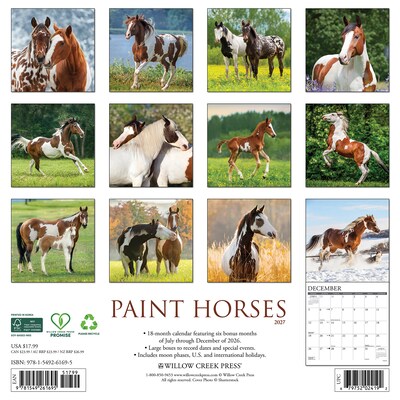 2027 Willow Creek Paint Horses 12 x 12 Monthly Wall Calendar, Assorted Colors (61695)