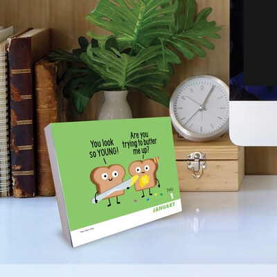2026 Willow Creek The Art of David Olenick 6.2" x 5.4" Day-to-Day Calendar (54444)