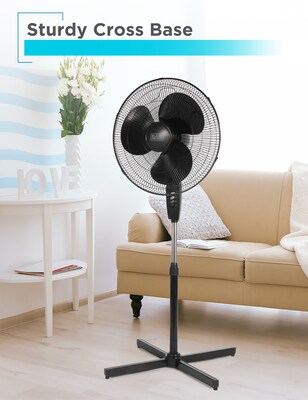 Black & Decker 18 Oscillating Pedestal Fan, 3-Speed, Black (BFP18SXB)