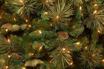 National Tree Company Carolina Pine Artificial Christmas Tree, 7 ft., Clear Lights (CAP3-306-70)