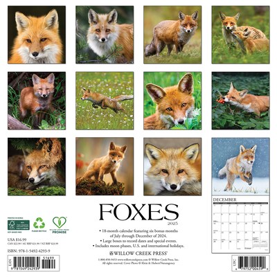 2025 Willow Creek Foxes 12 x 12 Monthly Wall Calendar (42939)