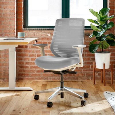 Branch Furniture Ergonomic Chair - Graphite