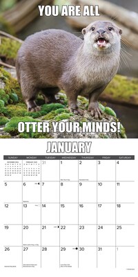 2025 Willow Creek In Otter News 12" x 12" Monthly Wall Calendar (43479)