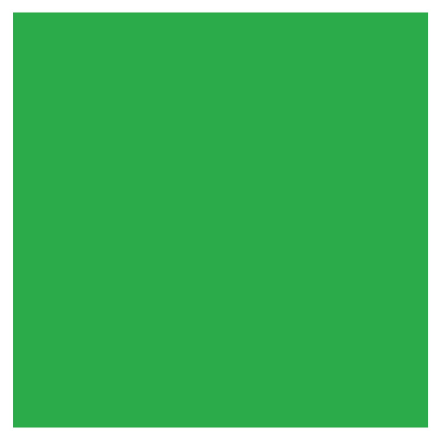 Color-Brite 18 x 24 Construction Paper, Holiday Green, 50 Sheets/Pack (CPS18GR-SW)