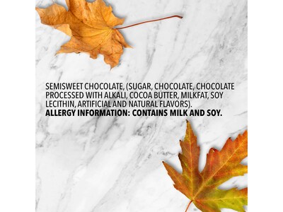 Dove Promises Pumpkins Bite-Size Dark Chocolate Pieces, 8.87 oz. (440837)