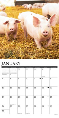2027 Willow Creek Around the Farm 12" x 12" Monthly Wall Calendar, Assorted Colors (65099)