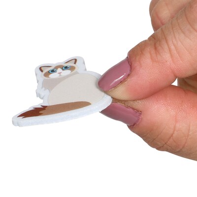 Ready2Learn Foam Cat Stickers, Multicolored, 160/Pack (CE-10122)