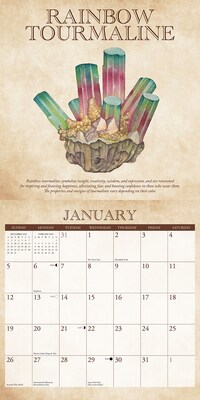 2025 Willow Creek Mineralologie 12" x 12" Yearly Wall Calendar (46494)