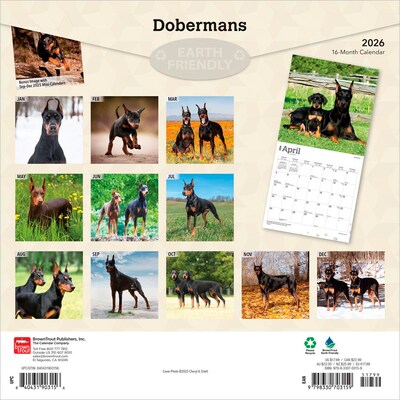 2026 BrownTrout Dobermans 12 x 12 Monthly Wall Calendar (9798330703159)