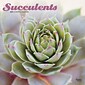 2023 BrownTrout Succulents 12 x 12 Monthly Wall Calendar (9781975452872)