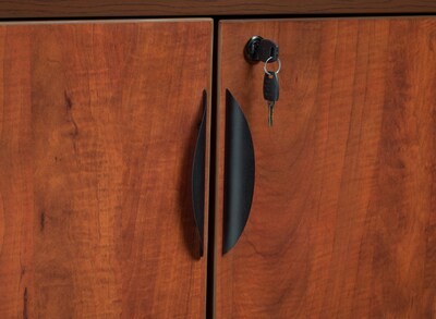Regency Legacy Stand Up Back-to-Back Storage Cabinet/Storage Cabinet, Cherry (LSSCSC3646CH)