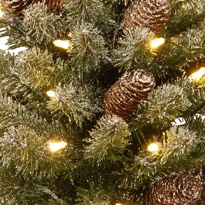 National Tree Company 2' Snowy Concolor Fir Tree with LED Lights (SR1-328-20-B1)