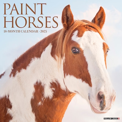 2025 Willow Creek Paint Horses 12 x 12 Monthly Wall Calendar (44353)