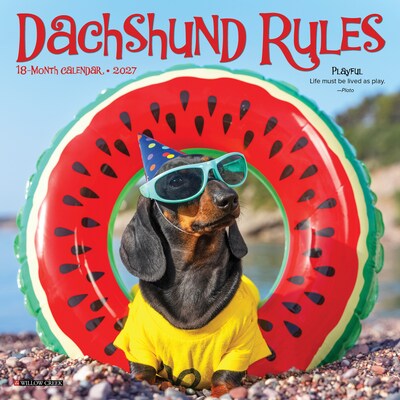 2027 Willow Creek Dachshund Rules 7 x 7 Monthly Wall Calendar (63989)