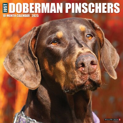 2025 Willow Creek Just Dobermans 12 x 12 Monthly Wall Calendar (42717)
