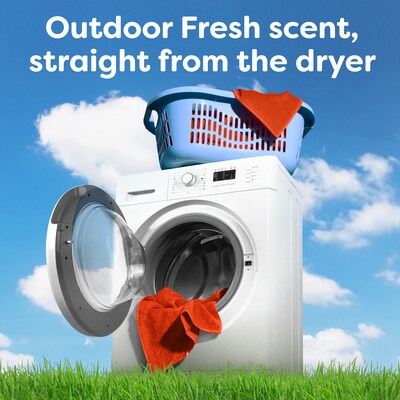 Bounce Dryer Sheets, Outdoor Fresh, 160/Sheets (80168)