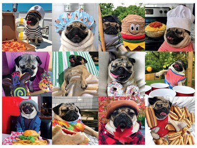 Willow Creek Doug the Pug: Pug Life 1000-Piece Jigsaw Puzzle (48185)