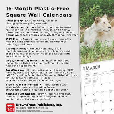 2025 BrownTrout Lions 12" x 12" Monthly Wall Calendar (9781975476458)