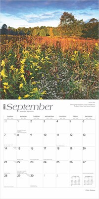 2025 BrownTrout Ohio Nature 12" x 12" Monthly Wall Calendar (9781975475468)