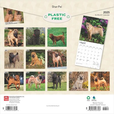 2025 BrownTrout Shar Pei 12 x 12 Monthly Wall Calendar (9781975477707)