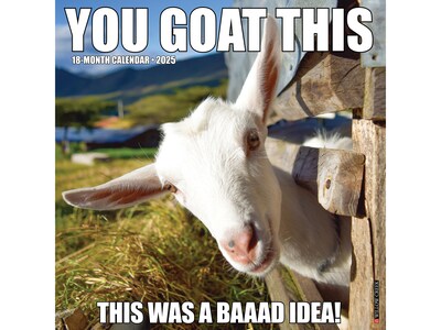 2025 Willow Creek You Goat This 12 x 12 Monthly Wall Calendar (45572)