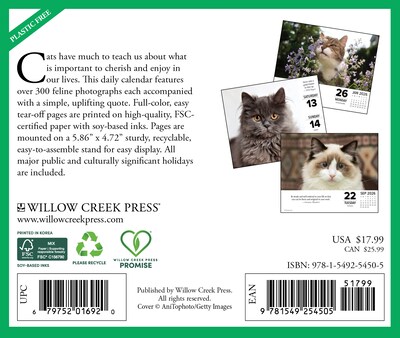 2026 Willow Creek What Cats Teach Us 6.2 x 5.4 Day-to-Day Calendar (54505)