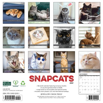 2027 Willow Creek Snapcats 12 x 12 Monthly Wall Calendar, Assorted Colors (62401)
