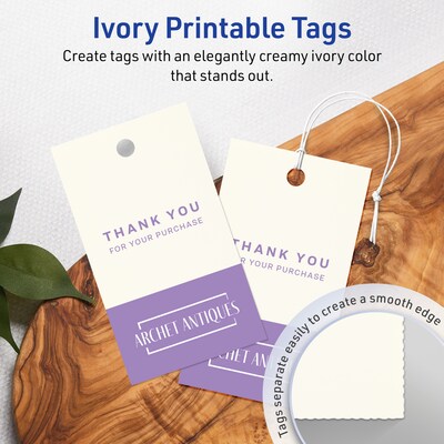Avery 2 x 3-1/2  Blank Price & Merchandise Tags, Ivory, 80/Carton (95322-MIT10)