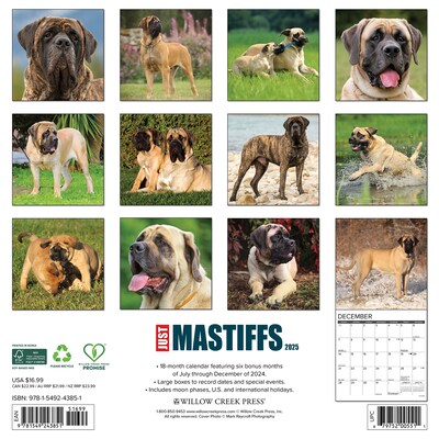 2025 Willow Creek Just Mastiffs 12 x 12 Monthly Wall Calendar (43851)