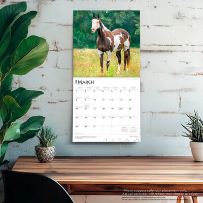 2026 BrownTrout Quarter Horses 12" x 12" Monthly Wall Calendar (9798330705290)