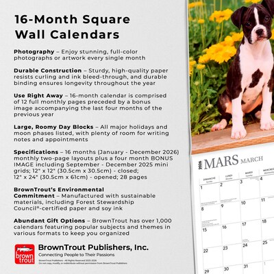 2026 BrownTrout Chiots 12" x 12" Monthly Wall Calendar (9798330707386)