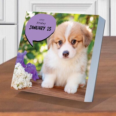 2027 TF Publishing Dog A Day 5.25" x 5.25" Daily Day-to-Day Calendar, Multicolored (27-3008)