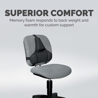 Fellowes Professional Back Support, Black (8037601)