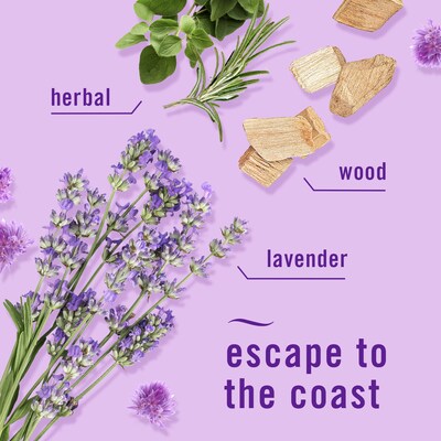 Febreze Fade Defy Plug Air Freshener Warmer Refill, Mediterranean Lavender Scent, 0.87 fl. oz., 3/Pack (54367)