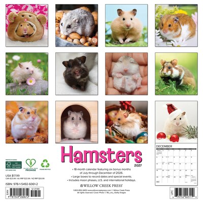 2027 Willow Creek Hamsters 12 x 12 Monthly Wall Calendar (60612)