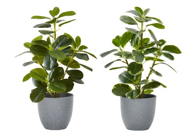 Monarch Specialties Inc. 14 Artificial Ficus Elastica Plant in Pot, 2/Set (I 9558)