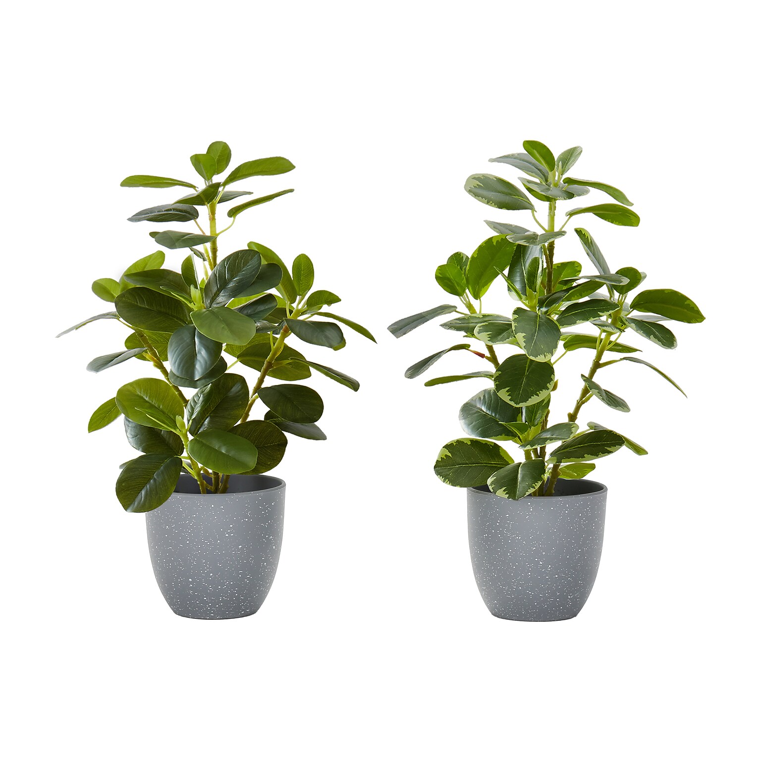 Monarch Specialties Inc. 14 Artificial Ficus Elastica Plant in Pot, 2/Set (I 9558)