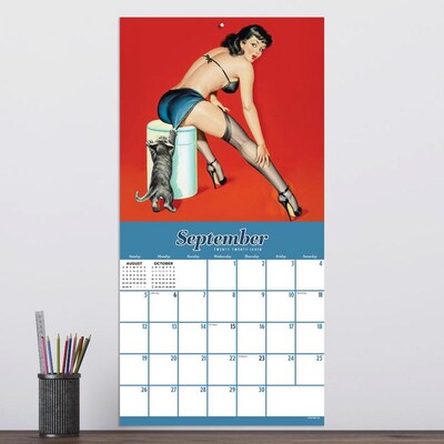 2027 TF Publishing PinUps 12" x 12" Monthly Wall Calendar, Multicolored (27-1119)
