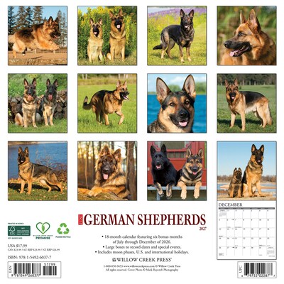 2027 Willow Creek German Shepherds 12 x 12 Monthly Wall Calendar, Assorted Colors (60377)