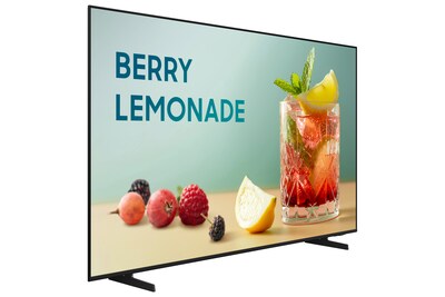 Samsung BEFX-H Series 50" Free Standing Television for Digital Signage (BE50FX-H)