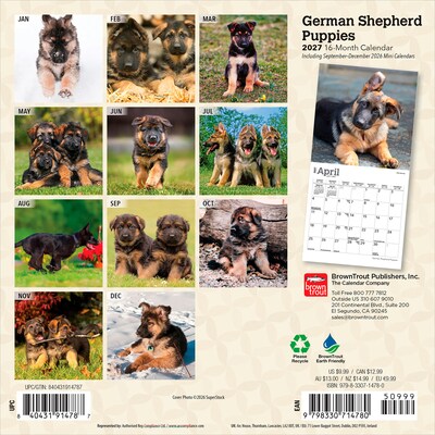 2027 BrownTrout German Shepherd Puppies 7 x 7 Monthly Wall Calendar, Assorted Colors (9798330714780)