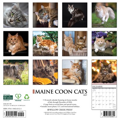 2027 Willow Creek Maine Coon Cats 12 x 12 Monthly Wall Calendar, Assorted Colors (61121)