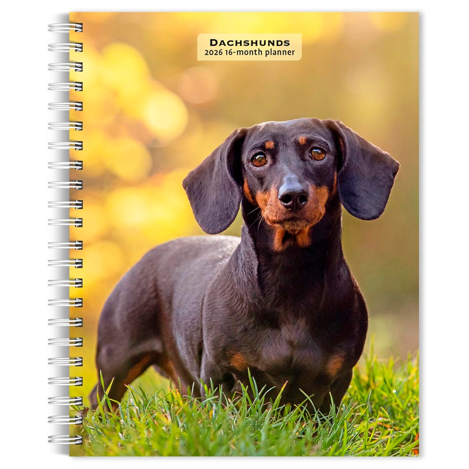 2026 BrownTrout Dachshunds 6.5 x 7.75 Weekly Planner (9798330703104)