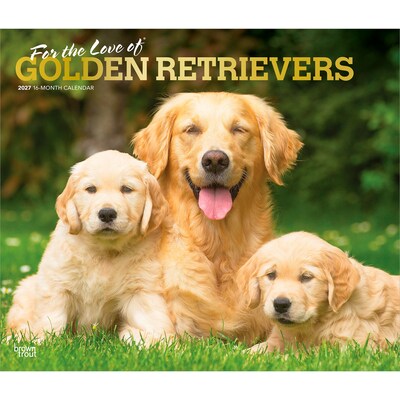2027 BrownTrout For the Love of Golden Retrievers 14 x 12 Monthly Wall Calendar, Assorted Colors (9798330709267)